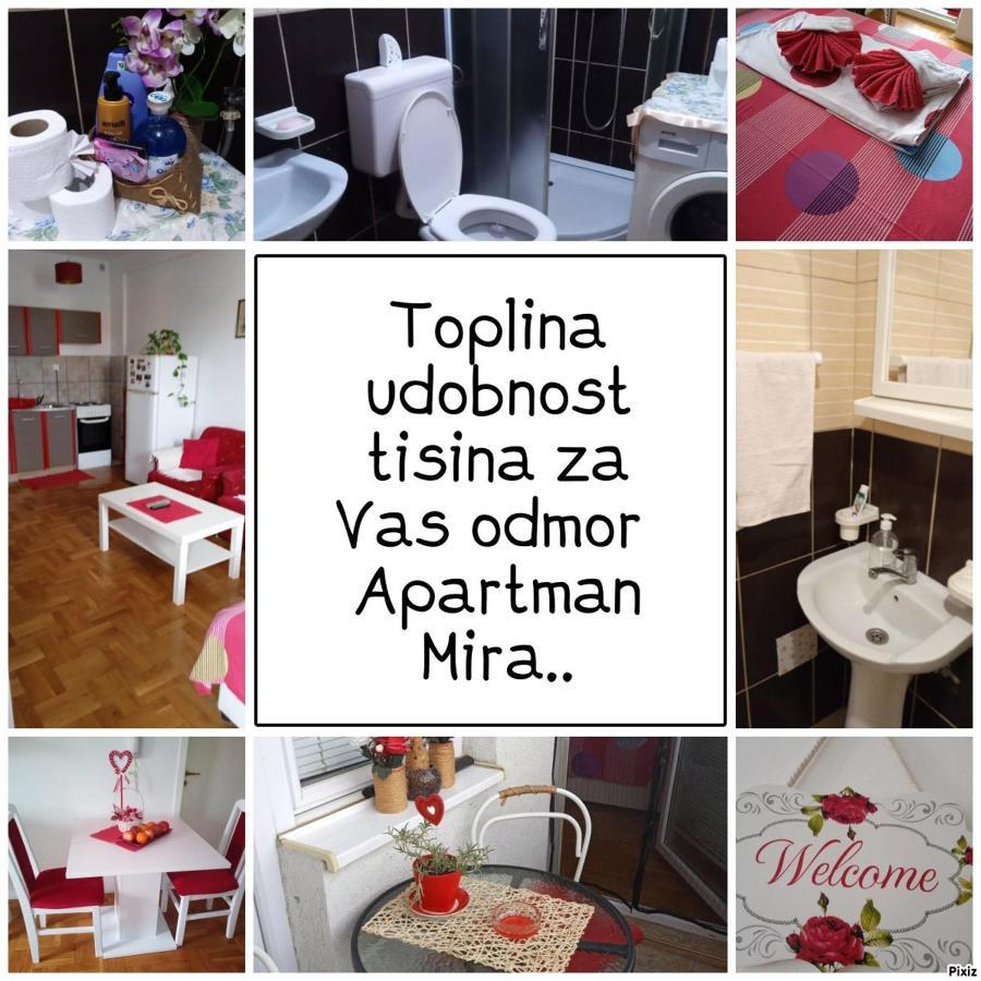 Apartman Mira Pozarevac Ngoại thất bức ảnh